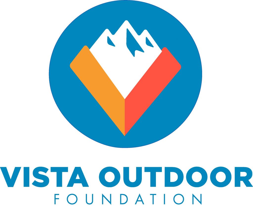 Media Vista Foundation Logo