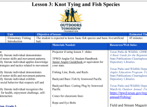 Curriculum lesson
